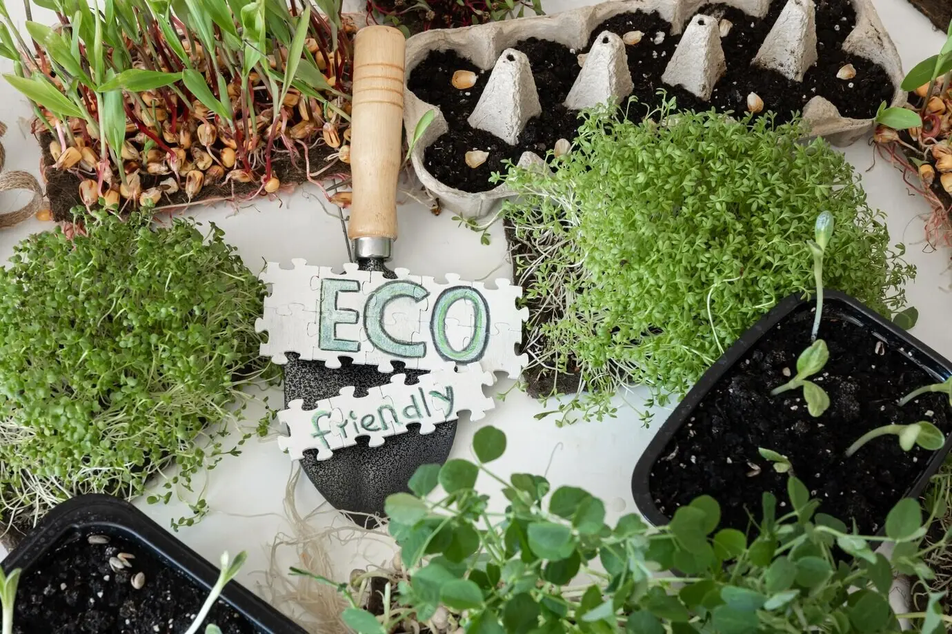 Keimung von Microgreens, Samenkeimung zu Hause