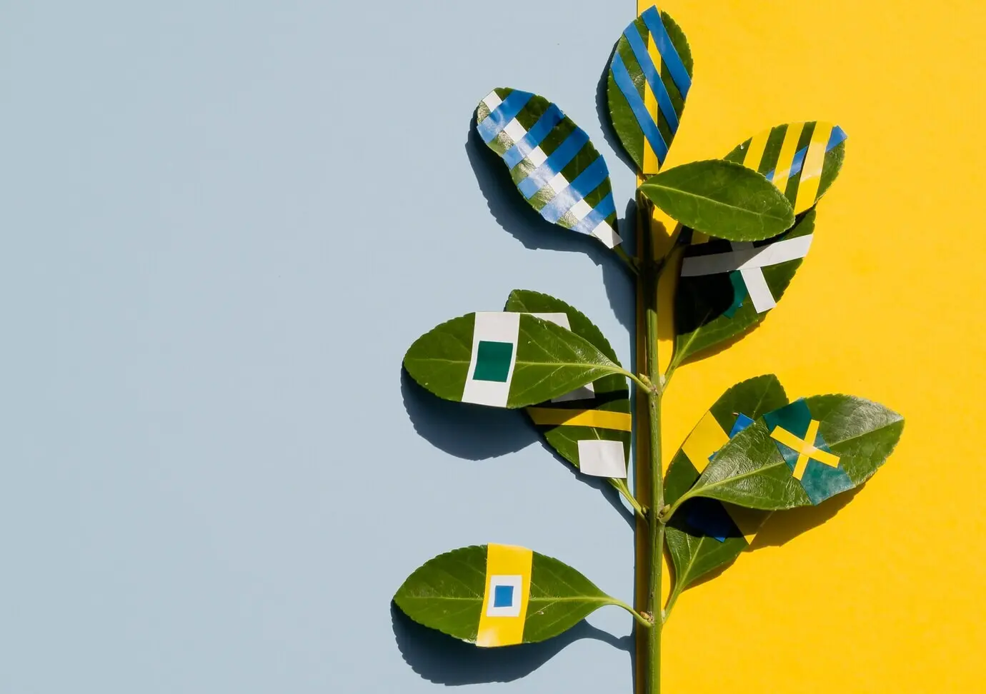 Vielzahl gemalter Darstellungen von Ficusblättern vor kontrastierendem Hintergrund.